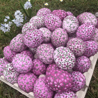 /album/fotogalerie-avadesign/product-img500w-25-jpg/